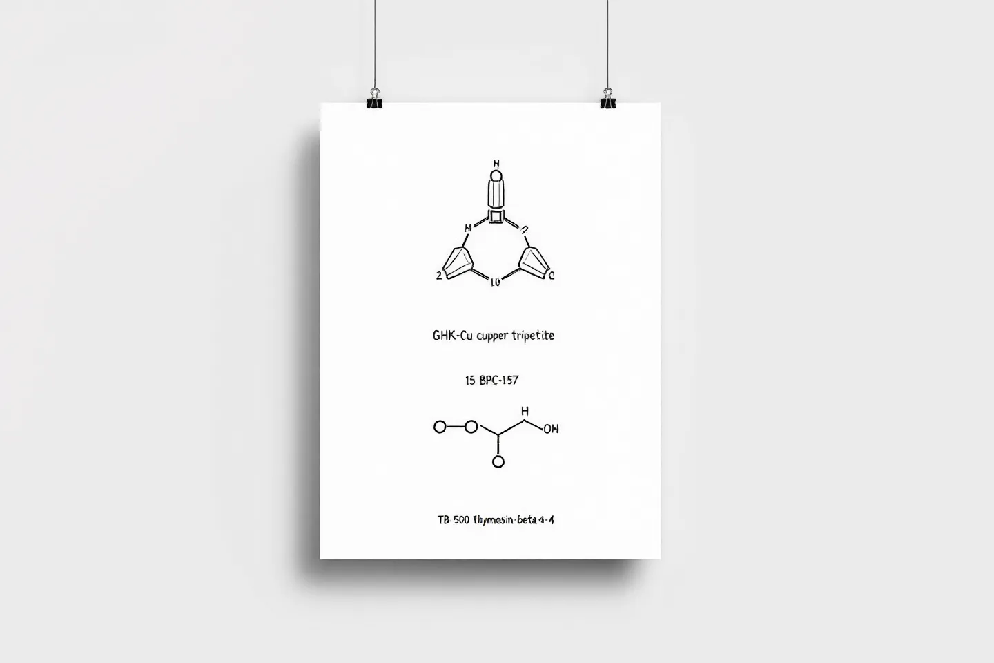 All-ink schematic of three stacked peptide structures — a triangular tripeptide, a 15-node chain, and a 7-node chain — on cool white